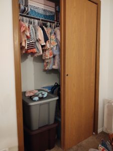 closet with hanging clothes and storage bins
