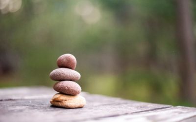 Mindfulness and Motivation